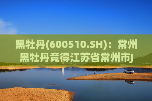 黑牡丹(600510.SH):常州黑牡丹竞得江苏省常州市JZX20251803地块的国有建设用地使用权