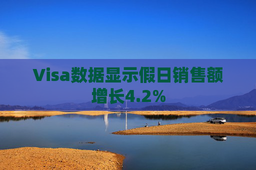 Visa数据显示假日销售额增长4.2%  第1张
