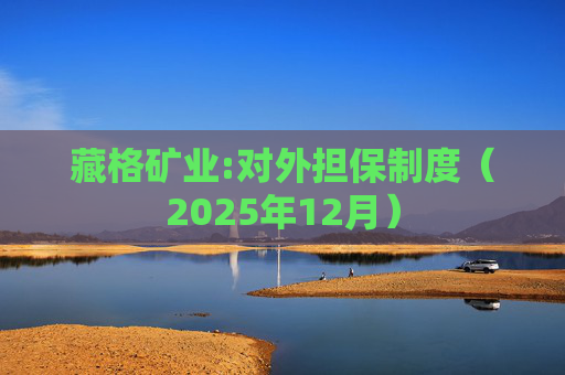藏格矿业:对外担保制度（2025年12月）  第1张
