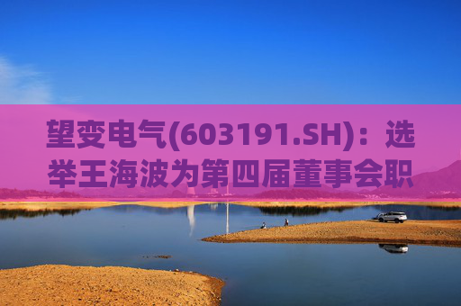 望变电气(603191.SH):选举王海波为第四届董事会职工代表董事