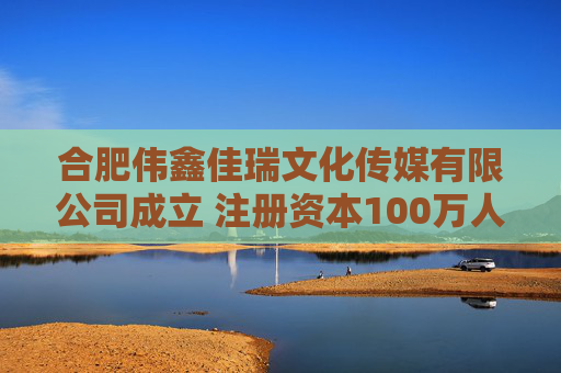 合肥伟鑫佳瑞文化传媒有限公司成立 注册资本100万人民币