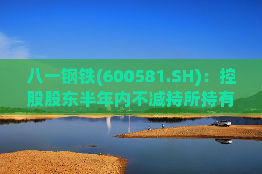 八一钢铁(600581.SH)：控股股东半年内不减持所持有的公司股份