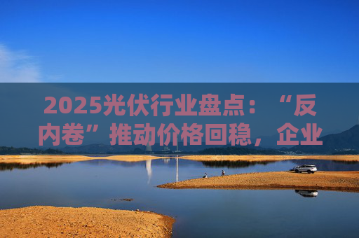 2025光伏行业盘点：“反内卷”推动价格回稳，企业自救提速