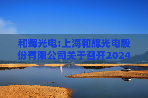 和辉光电:上海和辉光电股份有限公司关于召开2024年度科创板集成电路制造环节行业集体业绩说明会的公告  第1张