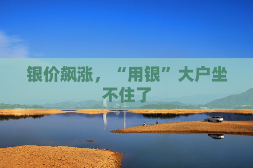 银价飙涨,“用银”大户坐不住了