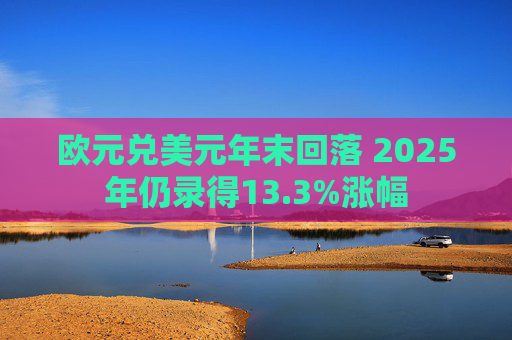 欧元兑美元年末回落 2025年仍录得13.3%涨幅 第1张 欧元兑美元年末回落 2025年仍录得13.3%涨幅 第1张