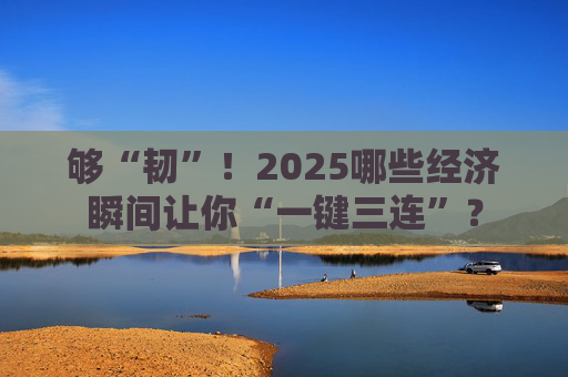 够“韧”！2025哪些经济瞬间让你“一键三连”？