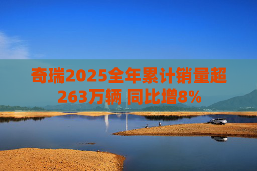 奇瑞2025全年累计销量超263万辆 同比增8%