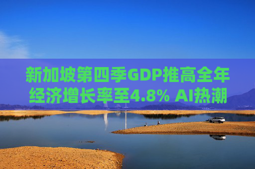 新加坡第四季GDP推高全年经济增长率至4.8% AI热潮助攻