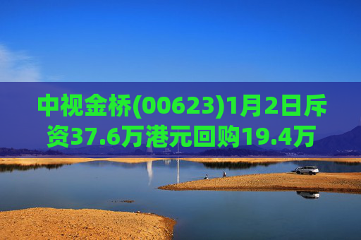 中视金桥(00623)1月2日斥资37.6万港元回购19.4万股