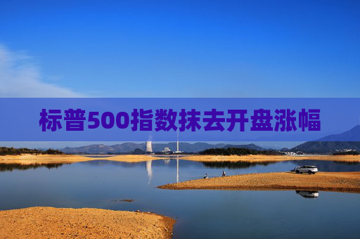 标普500指数抹去开盘涨幅