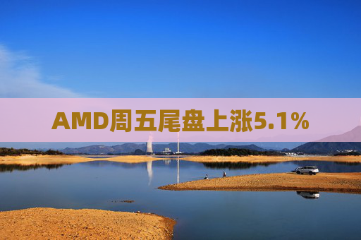AMD周五尾盘上涨5.1%