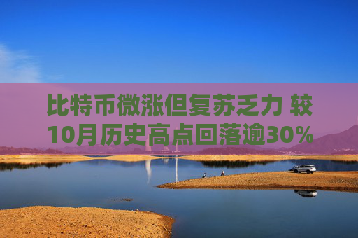 比特币微涨但复苏乏力 较10月历史高点回落逾30%