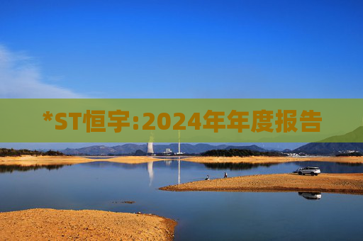 *ST恒宇:2024年年度报告