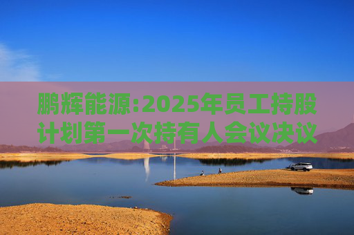 鹏辉能源:2025年员工持股计划第一次持有人会议决议公告