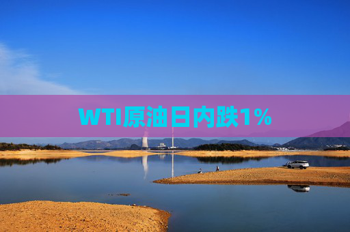 WTI原油日内跌1%
