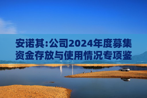 安诺其:公司2024年度募集资金存放与使用情况专项鉴证报告
