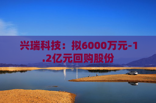 兴瑞科技：拟6000万元-1.2亿元回购股份  第1张
