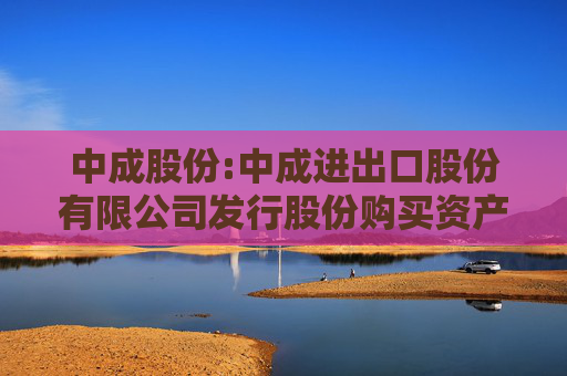 中成股份:中成进出口股份有限公司发行股份购买资产并募集配套资金暨关联交易报告书(草案)(上会稿)