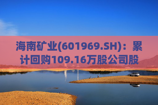 海南矿业(601969.SH)：累计回购109.16万股公司股份