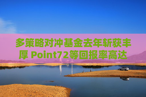 多策略对冲基金去年斩获丰厚 Point72等回报率高达两位数