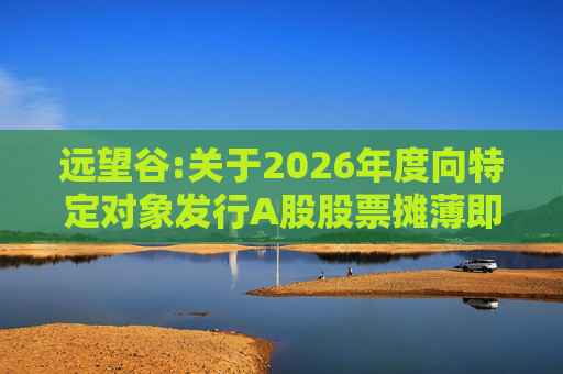 远望谷:关于2026年度向特定对象发行A股股票摊薄即期回报及填补措施和相关主体承诺的公告