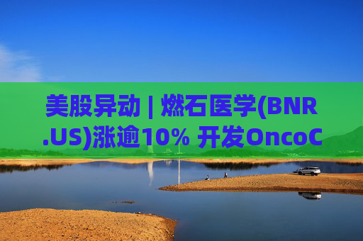 美股异动 | 燃石医学(BNR.US)涨逾10% 开发OncoCompass技术赋能肿瘤精准诊疗