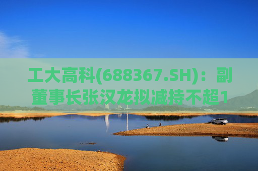 工大高科(688367.SH):副董事长张汉龙拟减持不超12.5万股