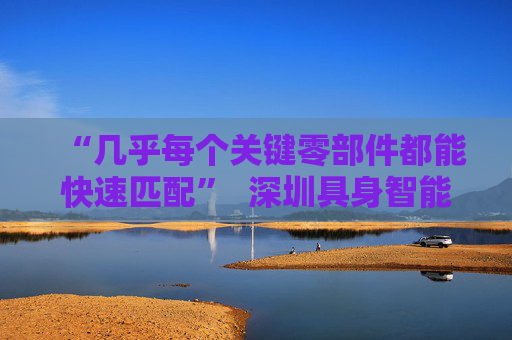 “几乎每个关键零部件都能快速匹配”  深圳具身智能生态先行一步