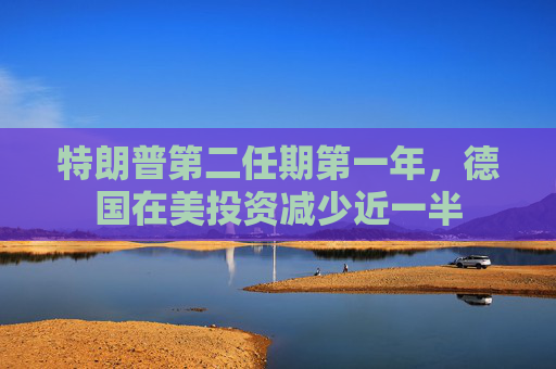 特朗普第二任期第一年,德国在美投资减少近一半