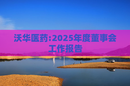 沃华医药:2025年度董事会工作报告