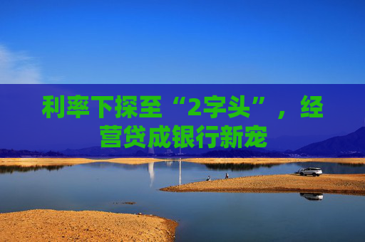 利率下探至“2字头”,经营贷成银行新宠 第1张 利率下探至“2字头”,经营贷成银行新宠 第1张