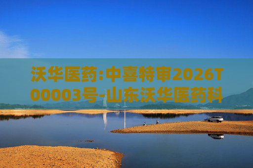 沃华医药:中喜特审2026T00003号-山东沃华医药科技股份有限公司-关联资金占用报告  第1张