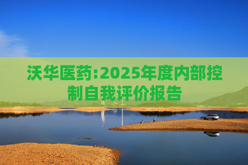 沃华医药:2025年度内部控制自我评价报告