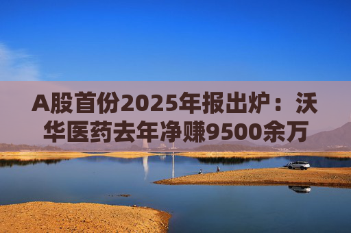A股首份2025年报出炉:沃华医药去年净赚9500余万元,公司进入无实控人状态