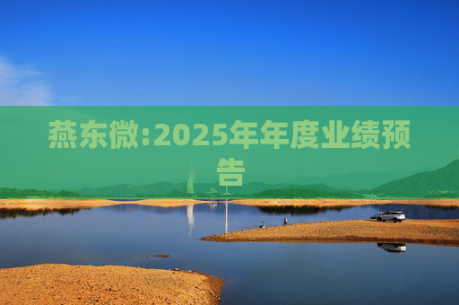 燕东微:2025年年度业绩预告