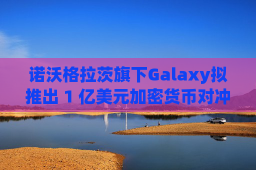 诺沃格拉茨旗下Galaxy拟推出 1 亿美元加密货币对冲基金
