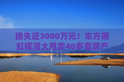 损失近3000万元!东方雨虹挥泪大甩卖40多套房产