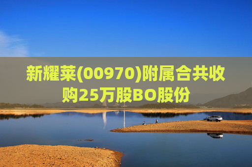 新耀莱(00970)附属合共收购25万股BO股份