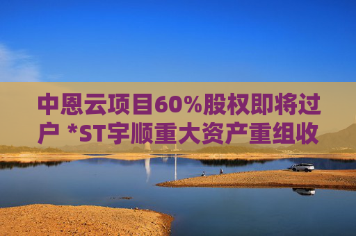 中恩云项目60%股权即将过户 *ST宇顺重大资产重组收官在望