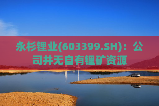 永杉锂业(603399.SH)：公司并无自有锂矿资源
