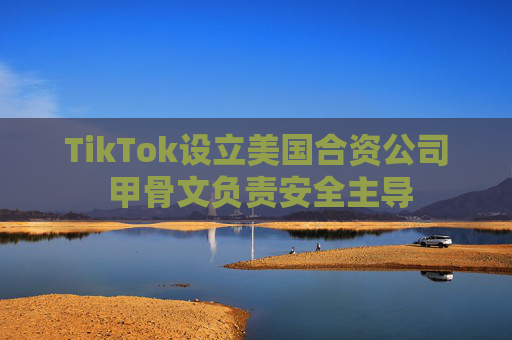 TikTok设立美国合资公司 甲骨文负责安全主导