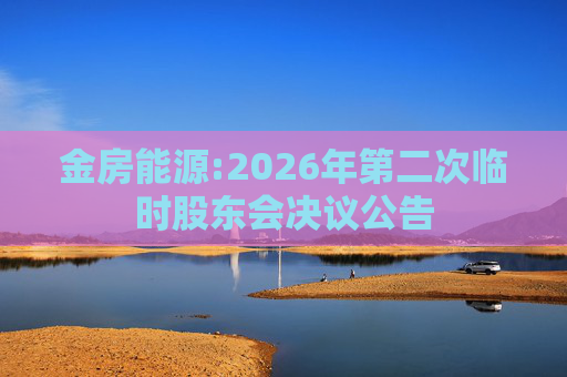 金房能源:2026年第二次临时股东会决议公告