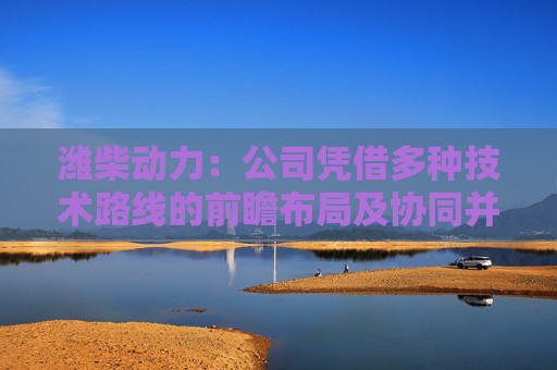 潍柴动力：公司凭借多种技术路线的前瞻布局及协同并进，已构建起全谱系能源解决方案能力