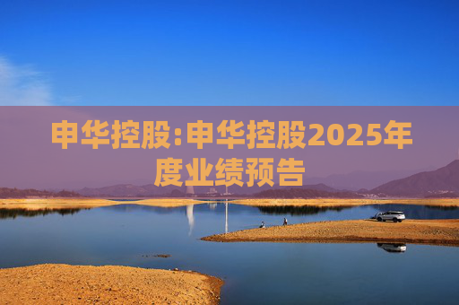 申华控股:申华控股2025年度业绩预告