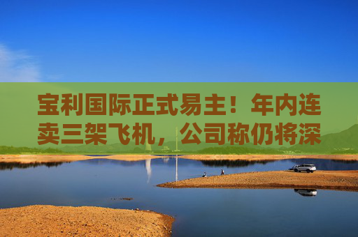 宝利国际正式易主！年内连卖三架飞机，公司称仍将深耕通航业务  第1张