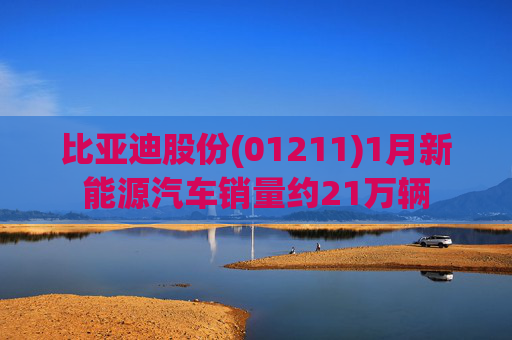 比亚迪股份(01211)1月新能源汽车销量约21万辆