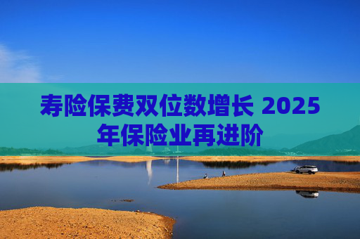 寿险保费双位数增长 2025年保险业再进阶