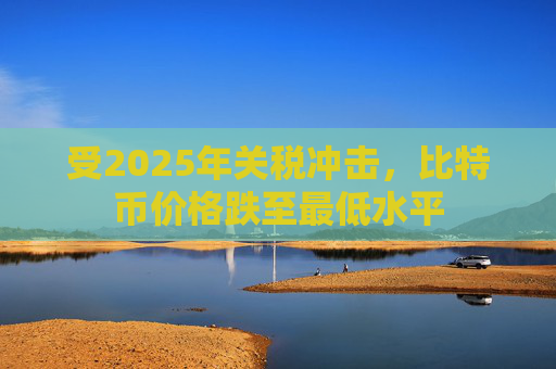 受2025年关税冲击，比特币价格跌至最低水平