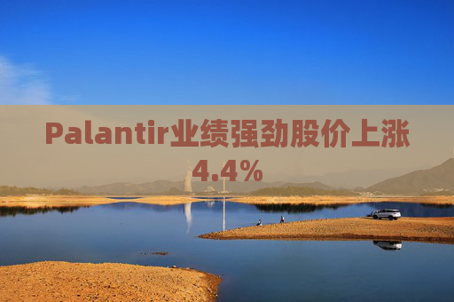 Palantir业绩强劲股价上涨4.4%